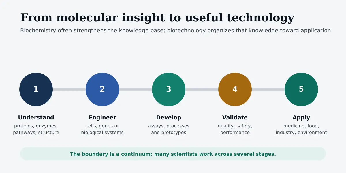 Five-stage diagram moving from understanding proteins enzymes and pathways to engineering development validation and biotechnology applications