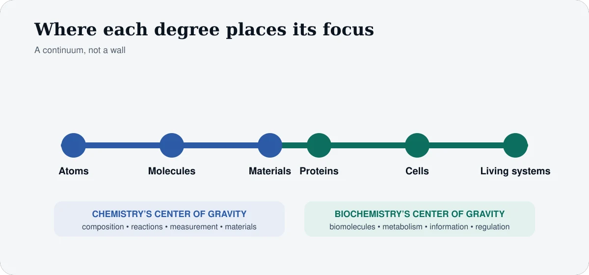 Visual continuum from atoms and molecules through materials, proteins, cells and living systems, showing chemistry and biochemistry study focus