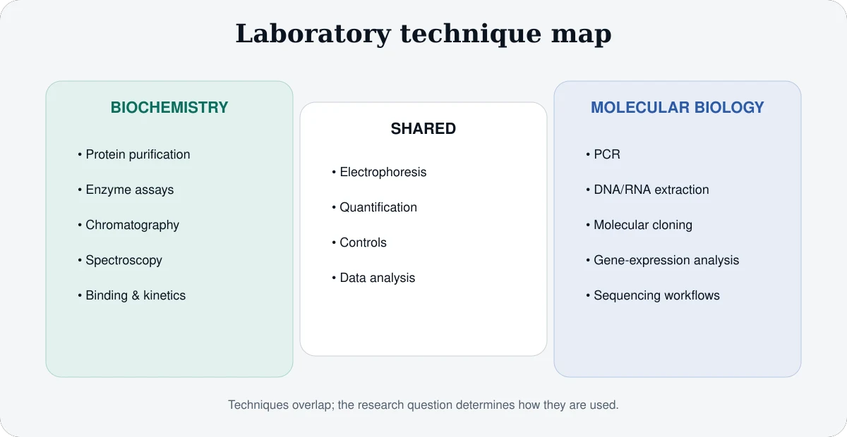 Technique map comparing protein purification enzyme assays chromatography and spectroscopy with PCR cloning sequencing and gene expression analysis