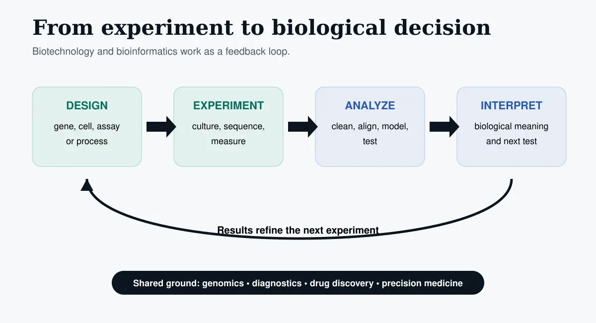 Circular workflow showing biotechnology experiment design and measurement followed by bioinformatics analysis interpretation and experimental refinement