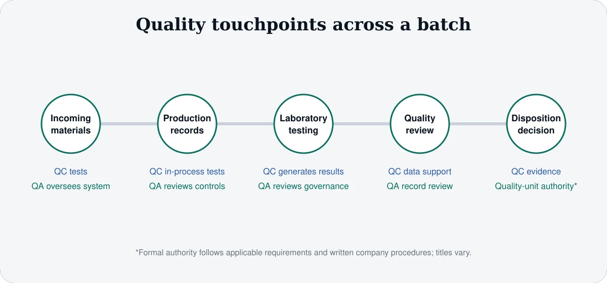 Pharmaceutical batch lifecycle from incoming materials through production, laboratory testing, record review and release with QA and QC touchpoints